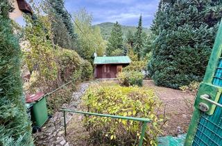 Grundstück zu kaufen in Wolfersberg, 1140 Wien, TOLLE FLÄCHE AM WOLFERSBERG MIT KLEINEM FERIENHAUS