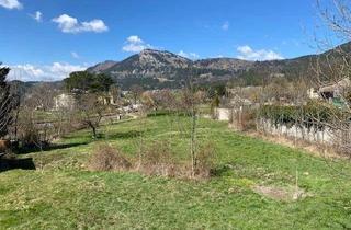 Grundstück zu kaufen in 2733 Grünbach am Schneeberg, Baugrundstück mit angrenzendem Obstgarten