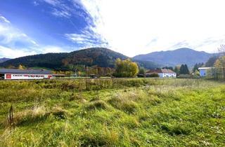 Grundstück zu kaufen in 4644 Scharnstein, VIEL PLATZ! Großzügiges Baugrundstück im Herzen des Almtals