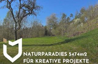Grundstück zu kaufen in 4522 Sierning, PREISREDUKTION - NATURPARADIES 5474m2 FÜR KREATIVE PROJEKTE