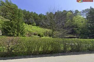 Grundstück zu kaufen in Pottendorfer Straße, 2763 Pernitz, Gut gelegene Grundstücke nahe Zentrum