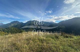 Gewerbeimmobilie kaufen in 9135 Bad Eisenkappel, "Landwirtschaft" in Aussichtslage, 34,5 ha zwischen Bad Eisenkappl und Zell