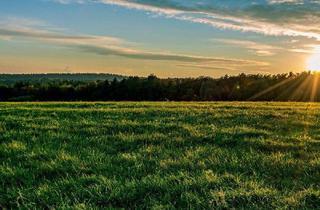 Gewerbeimmobilie kaufen in 2620 Neunkirchen, Ackerland in der Region 2620 – Ideale landwirtschaftliche Nutzfläche zu kaufen