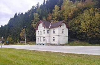 Haus kaufen in Veitscher Straße, 8664 Veitsch, Projekt Lebens(t)raum – Sanierungsabenteuer mit Potenzial in Waldrandlage nahe Skigebiet