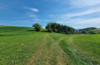 Gewerbeimmobilie kaufen in 3392 Heitzing, Exklusive Agrarflächen im Dunkelsteinerwald