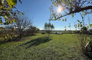 Grundstück zu kaufen in 4320 Perg, Vielseitig nutzbares Grundstück mit Aussicht in Siedlungsrandlage in Perg