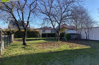 Grundstück zu kaufen in 2440 Gramatneusiedl, Baugrundstück in zentraler Lage im Ortskern