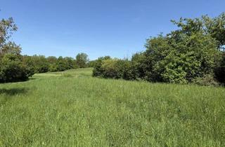 Grundstück zu kaufen in Plöcking Maria Gugging, 3413 Hintersdorf, Großzügig, idyllisch & voller Möglichkeiten!