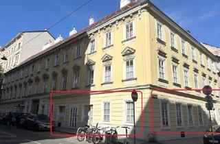 Büro zu mieten in 1080 Wien, Büro/Ordination + Freifläche in der Josefstadt !
