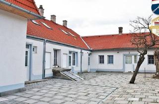 Mehrfamilienhaus kaufen in Auge Gottes, 2700 Wiener Neustadt, Mehrfamilienhaus mit 4 Wohnungen in verschiedenen Größen.