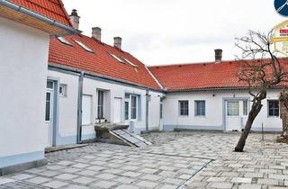 Mehrfamilienhaus kaufen in Auge Gottes, 2700 Wiener Neustadt, Mehrfamilienhaus mit 4 Wohnungen in verschiedenen Größen.