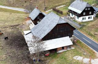Immobilie kaufen in 9543 Arriach, Land- und Forstwirtschaftliches Anwesen mit Wohnhaus, Ferienwohnungen & Wald in den Kärntner Nockbergen