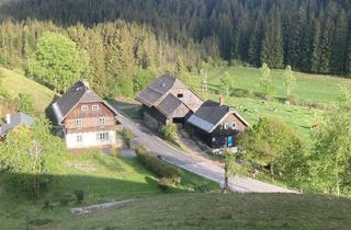 Immobilie kaufen in 9543 Arriach, Land- und Forstwirtschaftliches Anwesen mit Wohnhaus, Ferienwohnungen & Wald in den Kärntner Nockbergen
