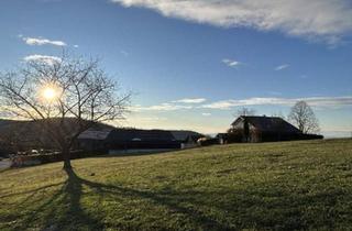 Grundstück zu kaufen in 8044 Graz, Ein Ort zum Ankommen – Grundstück mit unvergleichlicher Aussicht! Idyllisch & unvergleichlich! VEREINBAREN SIE JETZT IHREN BESICHTIGUNGSTERMIN!