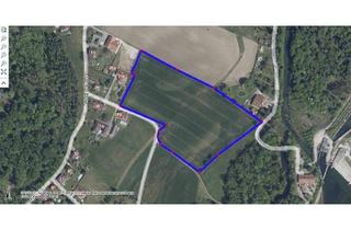 Gewerbeimmobilie kaufen in 4623 Gunskirchen, Grundstück für Ackerbau in Gunskirchen Au bei der Traun NEUER PREIS