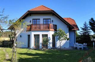 Einfamilienhaus kaufen in 2525 Günselsdorf, Großzügig gebautes Einfamilienhaus (Baumeisterhaus) auf 950m² Grund - nur ca. 25min nach Wien!