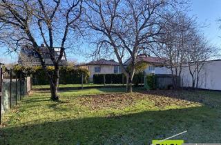 Grundstück zu kaufen in 2440 Gramatneusiedl, Baugrundstück in zentraler Lage im Ortskern