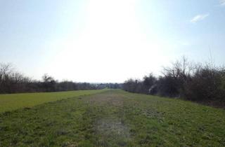 Grundstück zu kaufen in 7091 Breitenbrunn am Neusiedler See, TOP!! EINE INVESTITION IN DIE ZUKUNFT GRUNDSTÜCK MIT SEEBLICK