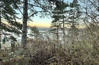 Grundstück zu kaufen in Donau, 1190 Wien, Traumhaftes Grundstück im Naturschutzgebiet – 880 m² mit Berg- und Donaublick!