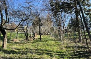 Haus kaufen in 2202 Hagenbrunn, Naturverbunden! grün-ruhig-sonnig