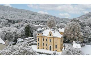 Loft kaufen in 2500 Baden, Historische Villa mit 3 DG-Einheiten inkl. Dachterrassen I 2012 DG Ausbau inkl. Lift I Grünlage