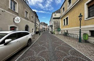 Büro zu mieten in Landesklinikum Klosterneuburg, 3400 Klosterneuburg, Moderne Büro-/ Ausstellungsfläche in zentraler Lage Klosterneuburgs!