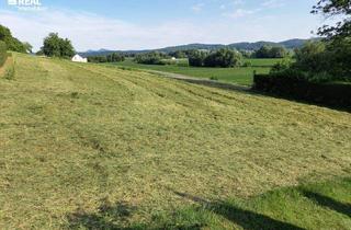 Grundstück zu kaufen in 8332 Fladnitz im Raabtal, Traumhaftes Baugrundstück in 8332 Fladnitz im Raabtal
