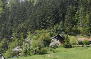 Einfamilienhaus kaufen in Prössinggraben 14, 9413 Sankt Gertraud, Holzhaus in absoluter Ruhelage mit eigenem Wald, Quellen und Wiesen-/ Nutzflächen - Privatverkauf