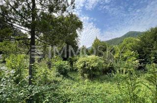 Grundstück zu kaufen in 2754 Waldegg, Grundstück mit Altbestand!