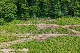 Wohnung kaufen in 4820 Bad Ischl, Neubauwohnung in der Kulturhauptstadt Bad Ischl
