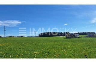 Grundstück zu kaufen in 5201 Seekirchen am Wallersee, Perspektive trifft Potenzial  Sonniges Grundstück in Seekirchen