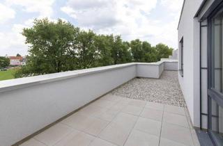 Wohnung mieten in Merbotogasse 61, 2700 Wiener Neustadt, ERSTBEZUG: Schöne Dachterrassenwohnung mit Grünblick