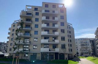 Wohnung mieten in Nippongasse 10/31, 1220 Wien, Herrliche 2-Zimmer-Wohnung mit wunderschönem Balkon im Kirschblütenpark!