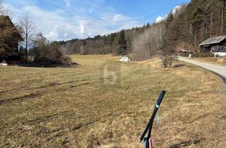 Grundstück zu kaufen in 9241 Wernberg, GROßZÜGIGE FLÄCHE FÜR INDIVIDUELLE PROJEKTE