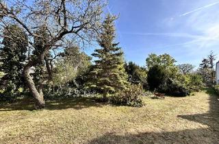 Einfamilienhaus kaufen in 2352 Gumpoldskirchen, Weihnachen im neuen Traumhaus im idyllischen Gumpoldskirchen feiern - hier finden Sie Lebensqualität