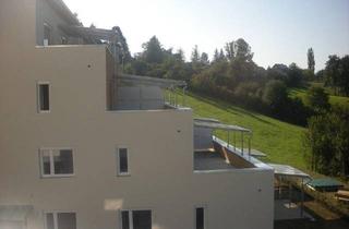 Wohnung mieten in Krumegg 113/8, 8323 Krumegg, PROVISIONSFREI - St. Marein bei Graz - geförderte Miete ODER geförderte Miete mit Kaufoption - 2 Zimmer