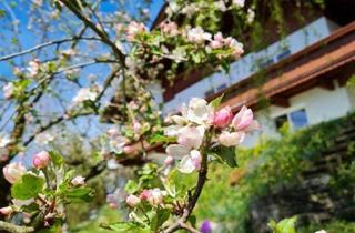 Haus kaufen in 6342 Niederndorf, Ab sofort verfügbar! Zweifamilienhaus mit Garten und unverbaubarem Blick auf das Inntal - PROVISIONSFREI