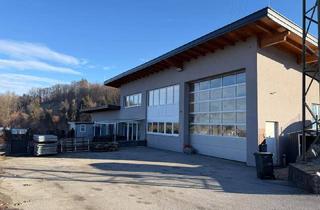 Büro zu mieten in 5412 Puch bei Hallein, Vielseitg nutzbare Gewerbehalle mit Büro in Puch