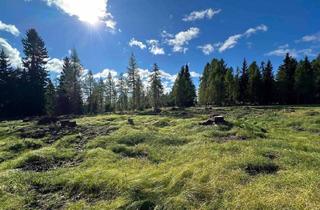 Grundstück zu kaufen in 9571 Sirnitz, Großes und sonniges Grundstück ideal für Investoren im Feriengebiet am Hochrindl