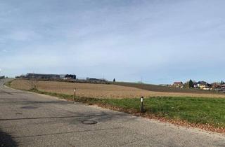 Grundstück zu kaufen in 4912 Neuhofen im Innkreis, Grundstück mit Widmung "MB" (eingeschränktes gemischtes Baugebiet) in Neuhofen im Innkreis