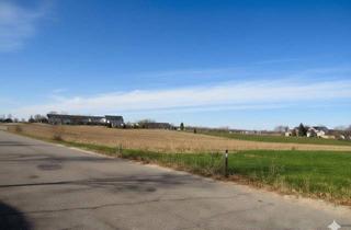 Grundstück zu kaufen in 4912 Neuhofen im Innkreis, Grundstück mit Widmung "MB" (eingeschränktes gemischtes Baugebiet) in Neuhofen im Innkreis