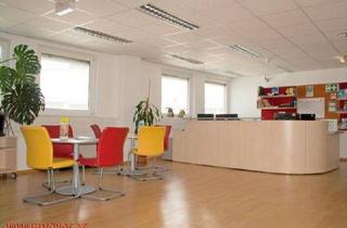Büro zu mieten in 1150 Wien, MODERNE 555 m2 - BARRIEREFREI - genügend Stellplätze!***