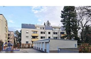 Wohnung mieten in 1130 Wien, Kompakte Wohlfühloase in 1130 Wien - 1 Zimmer, 37m² auf der 2. Etage, ab sofort mieten!