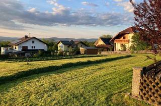 Grundstück zu kaufen in Sportplatzsiedlung 65, 4785 Freinberg, unbebautes Grundstück