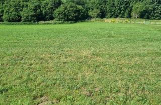 Grundstück zu kaufen in 9560 Adriach, WOHNEN UND ARBEITEN, IN EINEM: Der BAUGRUND befin