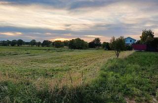 Grundstück zu kaufen in Martiniweg 12, 7141 Podersdorf am See, Podersdorf am See: Bauland-Grundstück in sehr guter Lage