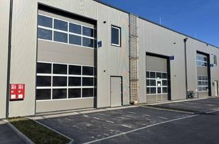 Lager kaufen in 4481 Asten, Betriebs-/Produktions- und Lagerhallen im FE Business Park Asten / St. Florian zu verkaufen (T08)