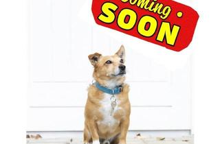 Wohnung kaufen in 3100 Sankt Pölten, Vorankündigung! Charmante 89 m² Eigentumswohnung mit Loggia - Sofort verfügbar