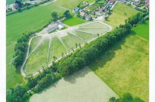 Lager kaufen in Pferdegestüt, 4910 Ried im Innkreis, Pferdegestüt mit Wohnhaus Nähe Ried (Oberösterreich) zu verkaufen