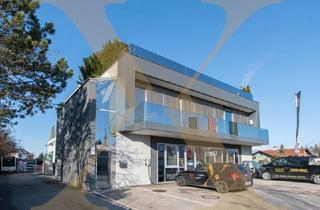 Büro zu mieten in 4050 Traun, Hochwertige Büro- und Lagerflächen samt Rolltore in Traun zu vermieten! (Miet-/Kaufoption möglich!)